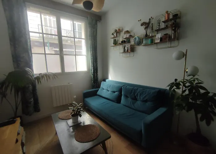 Appartement Cosy Et De Charme Tours Centre