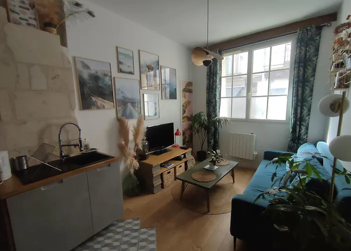 Appartement Cosy Et De Charme Tours Centre