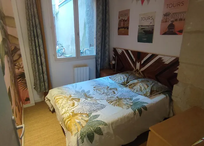 Appartement Cosy Et De Charme Tours Centre